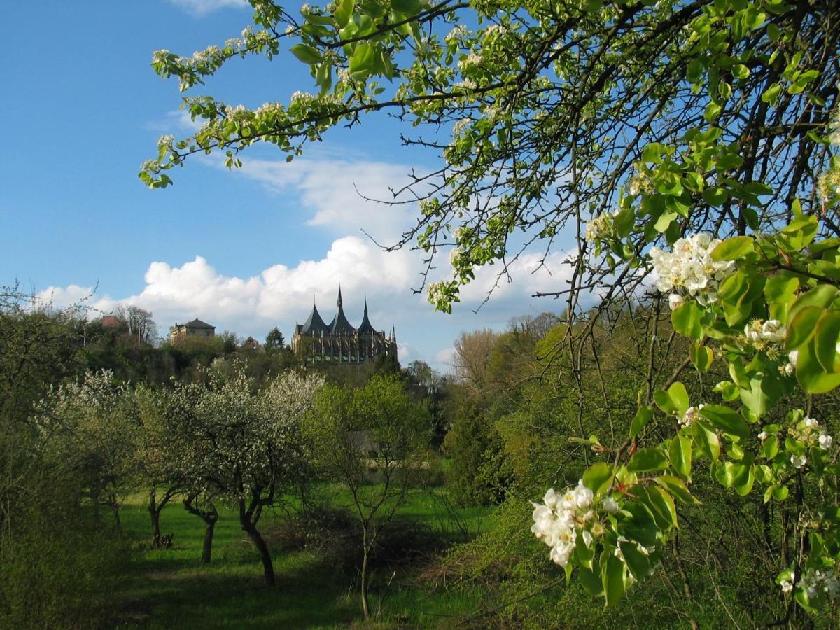 Bed and Breakfast Penzion Art Kutná Hora Exteriér fotografie